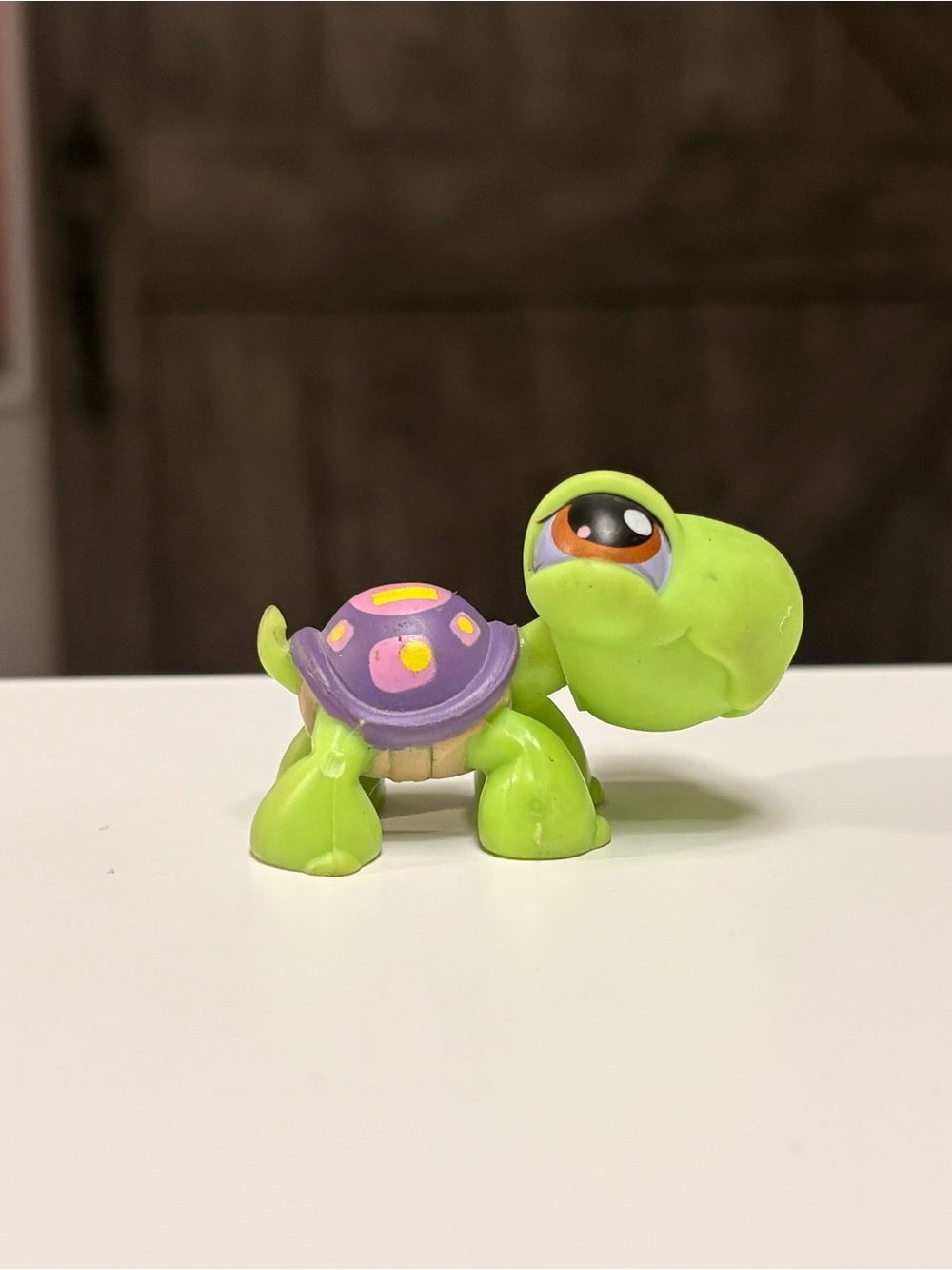 Littlest Pet Shop Turtle #302